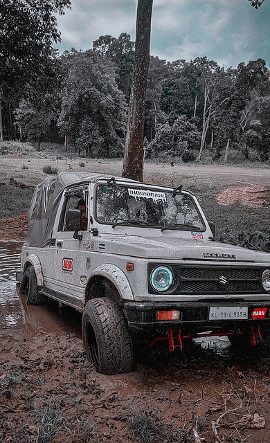 主教练伊米 主教练伊米